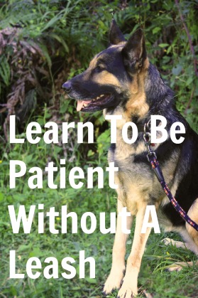 How To Be More Patient